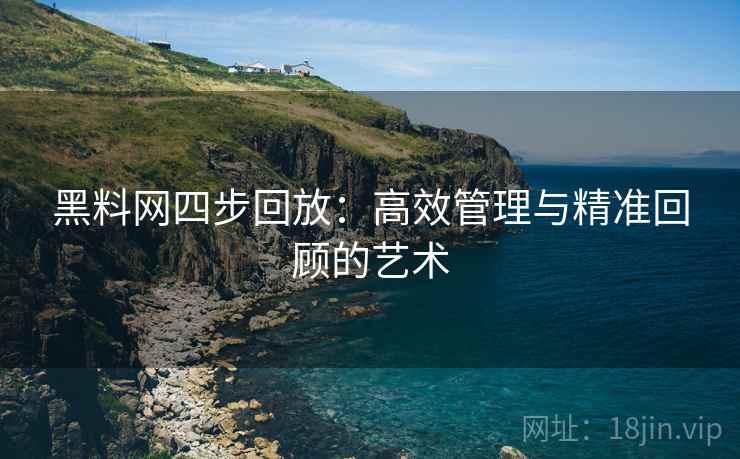 黑料网四步回放:高效管理与精准回顾的艺术 黑料网四步回放:高效管理与精准回顾的艺术