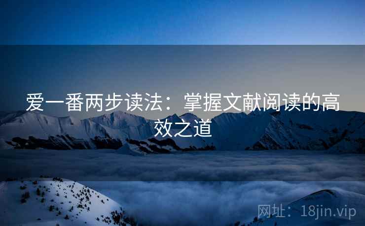 爱一番两步读法:掌握文献阅读的高效之道 爱一番两步读法:掌握文献阅读的高效之道